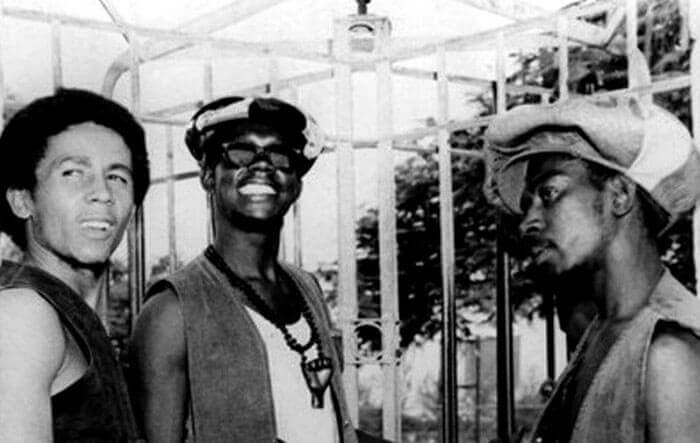 the wailers biography reggae history