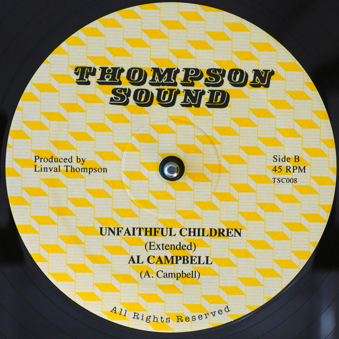 Freddie McKay / Al Campbell - Guide Us Jah Jah / Unfaithful Children, 12" Vinyl, Thompson Sound