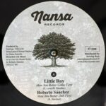 Little Roy / Virginia Rivera - Man You Better Come First / Womankind, 12" Vinyl, Nansa