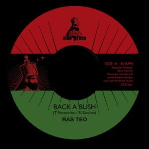 Ras Teo - Back A Bush / 7" vinyl, Zion Trod