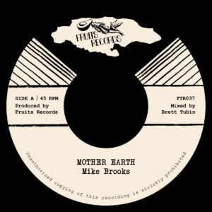 Mike Brooks - Mother Earth / 7" vinyl, Fruits Records