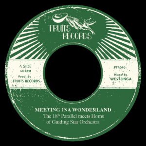 18th Parallel & Guiding Star Orchestra - Meeting Ina Wonderland