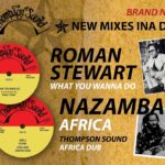 Roman Stewart - What You Wanna Do / Nazamba - Africa / 12" Thompson Sound