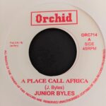 Jr. Byles - A Place Called Africa / The Upsetters - Version