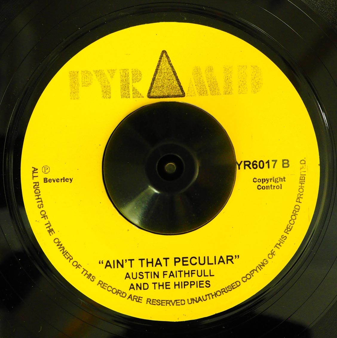 Austin Faithful & The Hippies - Ain't That Peculiar