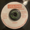 Wailing Souls - Version Lay it on the line