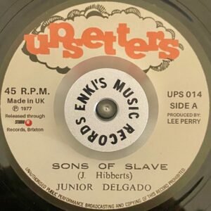Junior Delgado - Sons Of Slave / The Upsetters - Sons Of Dub