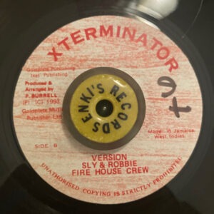 Luciano – Chant Down / Version by Sly & Robbie, Fire House Crew