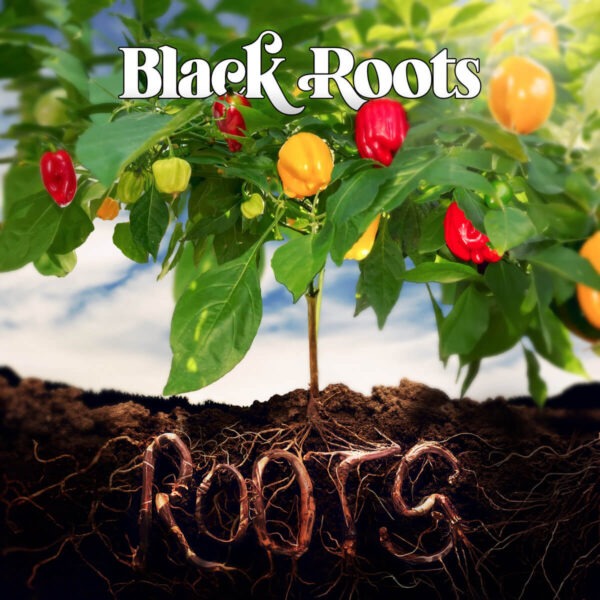 black roots - roots