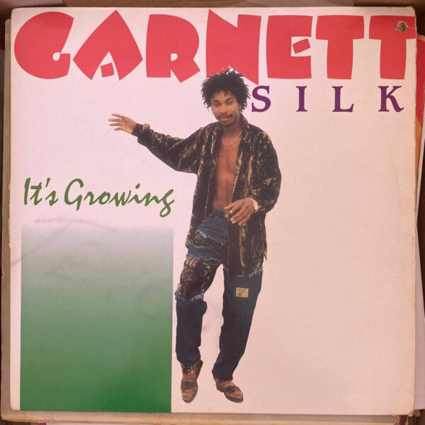 Garnett Silk – It's Growing