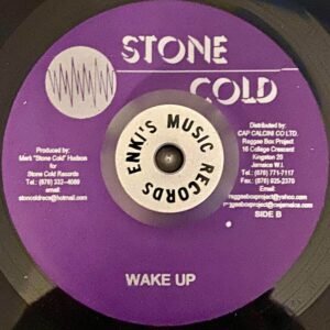 Sizzla – Don't Fuck Around b