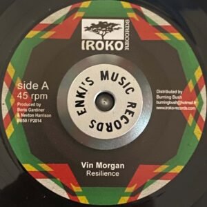 Vin Morgan Resilience (1)