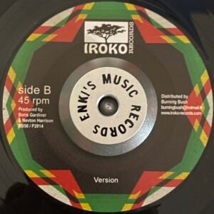 Vin Morgan Resilience 2