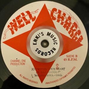 Wailing Souls - Joy (1)