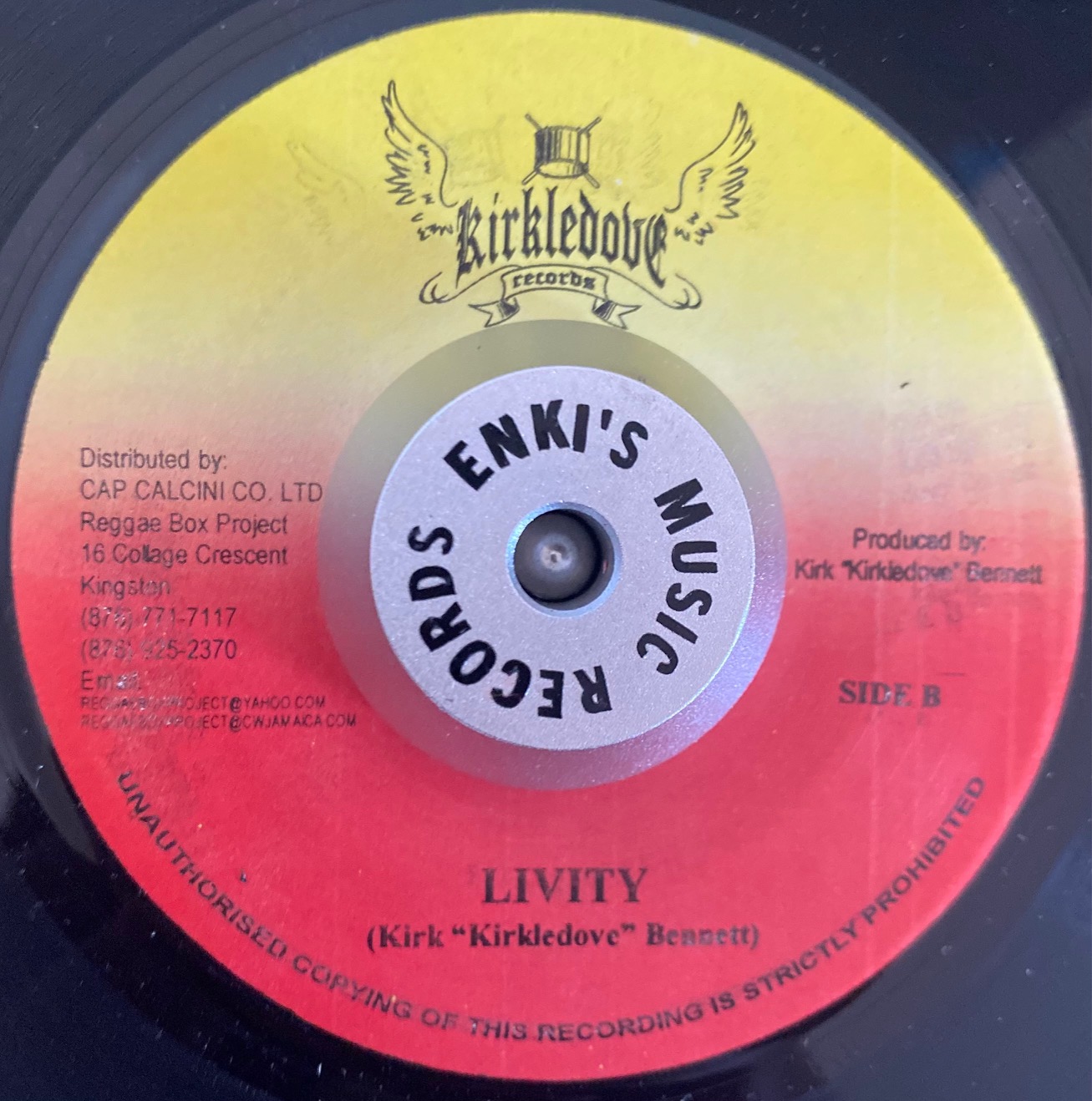 Riddim Bundle - 'Livity' - Image 5
