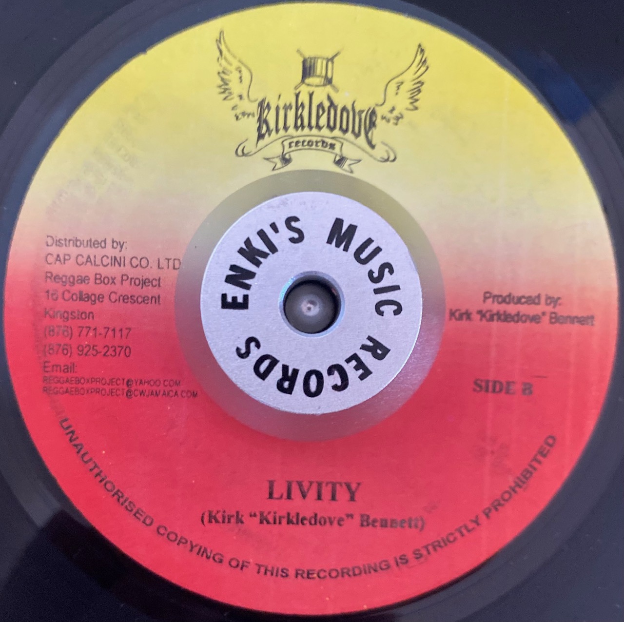 Riddim Bundle - 'Livity' - Image 3