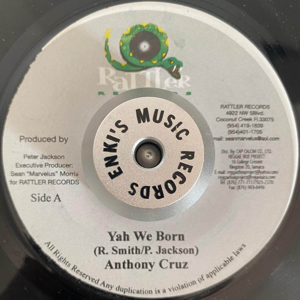 riddim1-anthonycruz1